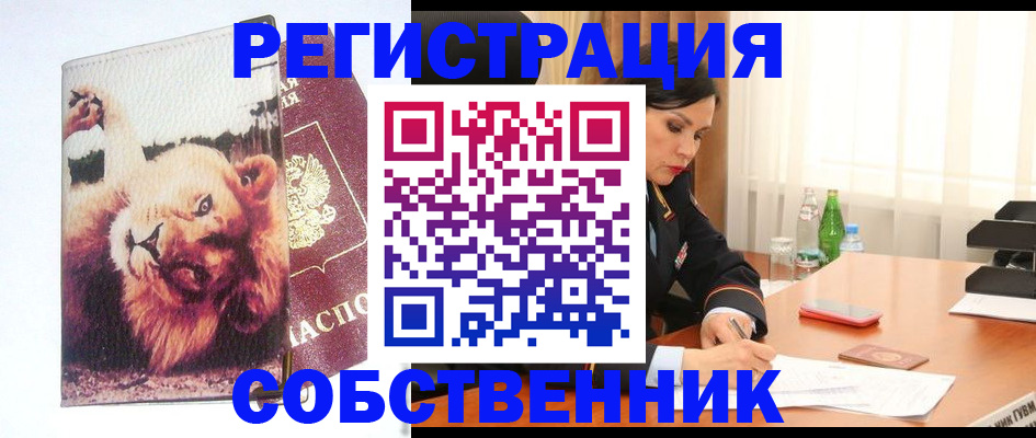 прописка от собственника в Долгопрудном